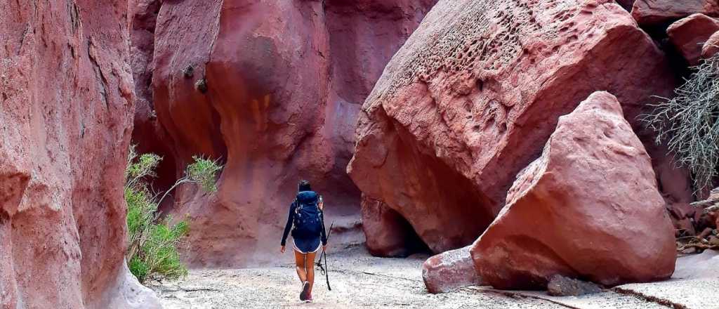 Horóscopo de hoy: qué esperan los signos para este domingo 10