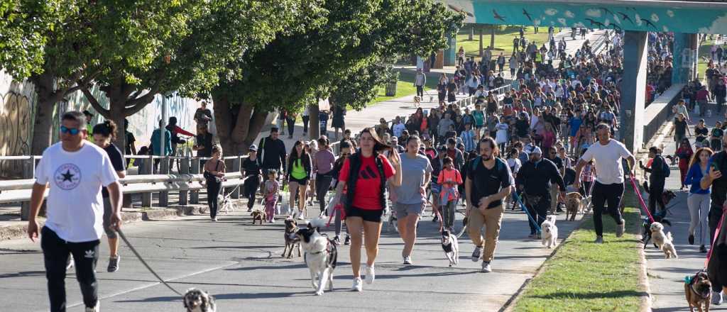 Con más de 2 mil amigos peludos, Mendoza corrió la Maratón Animal 2025