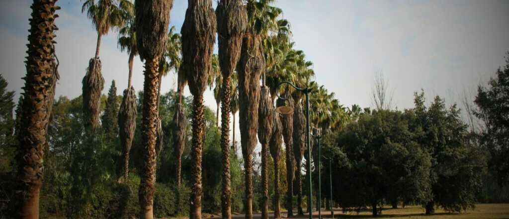 De noche y a punta de pistola, robaron a una pareja en el Parque San Martín