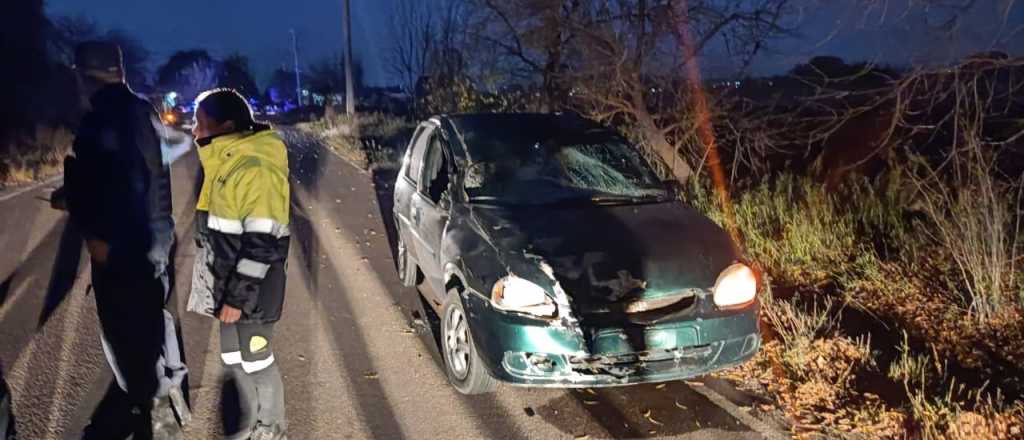 Un hombre chocó contra un caballo en Luján de Cuyo