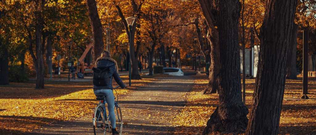 Horóscopo de hoy: que esperan los signos para este sábado 24 de mayo