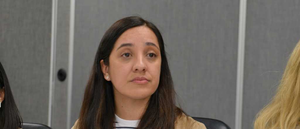 Reposo médico y sesión virtual: el caso Sainz dividió aguas en la Legislatura