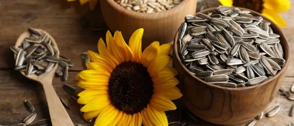 El pequeño gran secreto para una vida más saludable