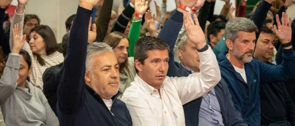 Sin el sector de Petri, el radicalismo definió cómo elegirá a sus candidatos