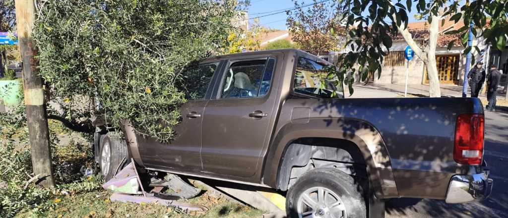 Robó una camioneta, una panadería y terminó chocando contra un árbol