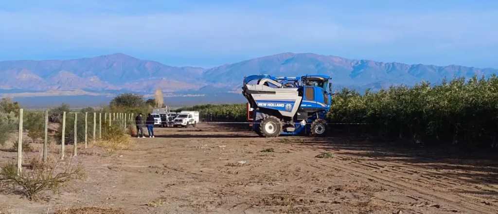 Un mendocino aplast&oacute; y mat&oacute; con una cosechadora a un operario en una finca