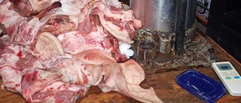 Decomisaron 200 kilos de carne en San Mart&iacute;n por condiciones irregulares