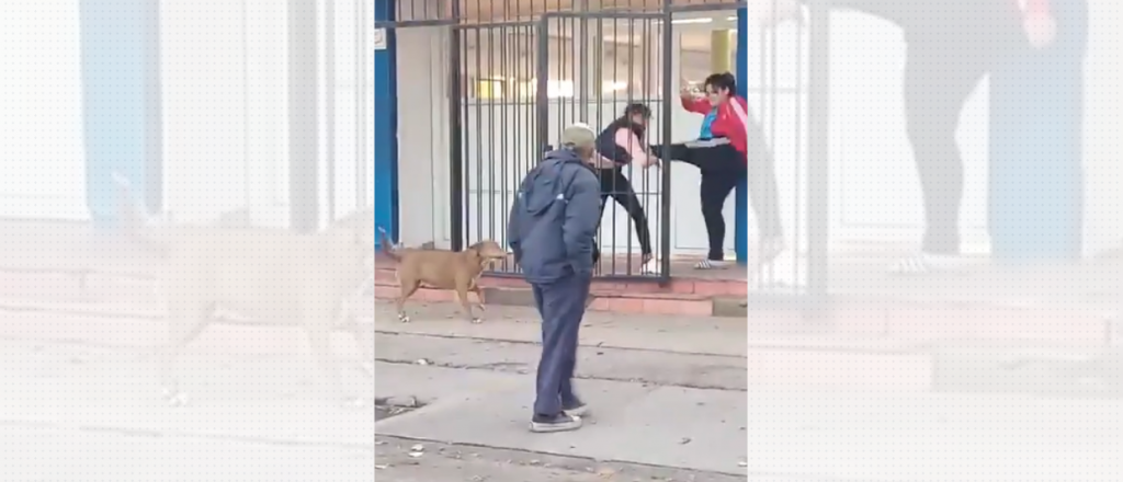 Video: agredieron a una mujer en una escuela de Las Heras