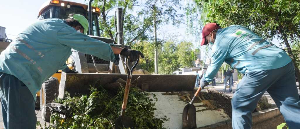 La Favorita recibirá operativos de limpieza: cuándo y dónde comenzarán