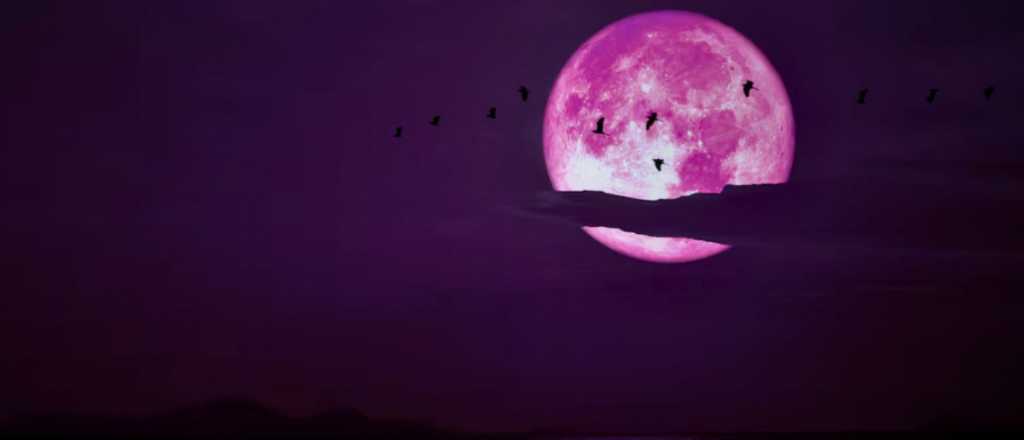 Cu&aacute;ndo se podr&aacute; ver el fen&oacute;meno astron&oacute;mico de la "Luna de Fresa"