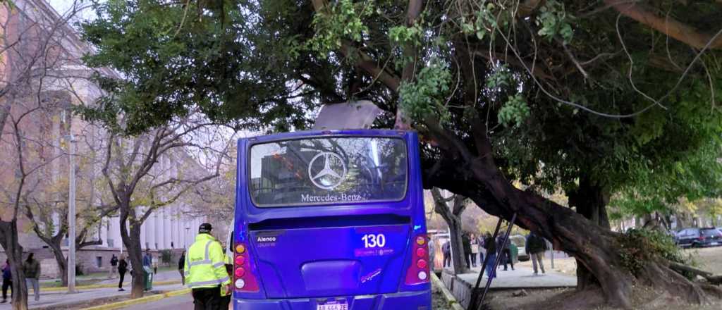Un micro chocó contra una rama frente al Poder Judicial