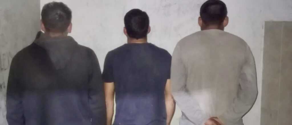 Detuvieron a tres hombres por robo de aceitunas en Jun&iacute;n