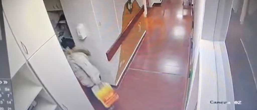 Video: una mujer fue de visita a un hospital y rob&oacute; un tel&eacute;fono