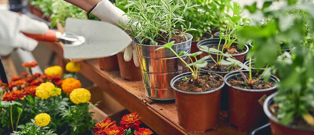 El Gobierno derog&oacute; la ley de registro de viveros