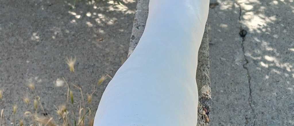 La teoría que explica por qué algunas personas nunca sufrieron una fractura