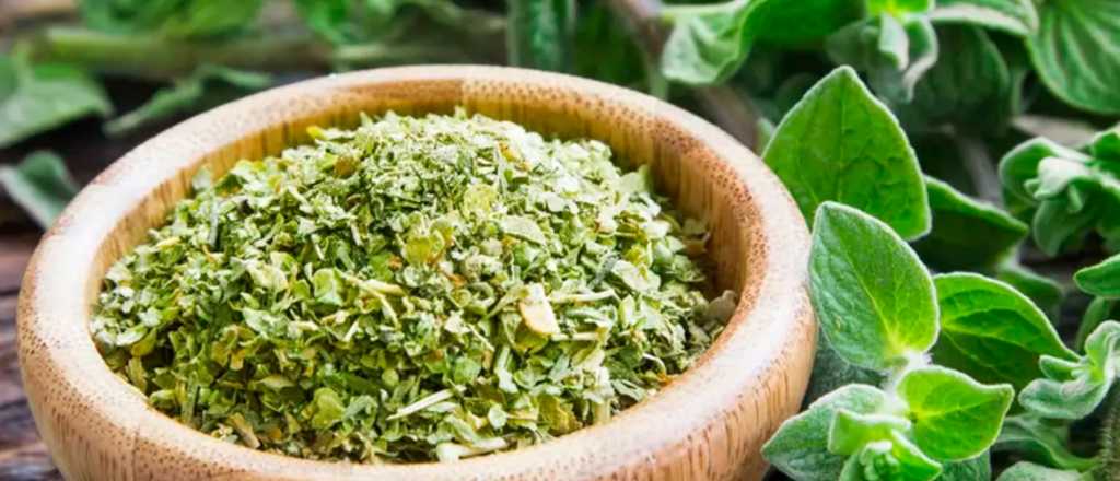 La planta que cura dolencias y enfermedades del organismo