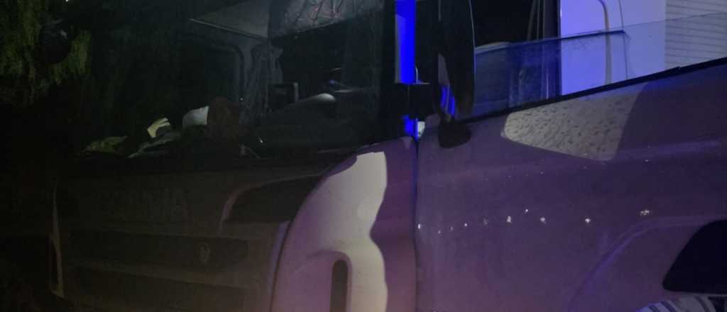 Detuvieron a un camionero brasileño totalmente borracho en la Ruta 7