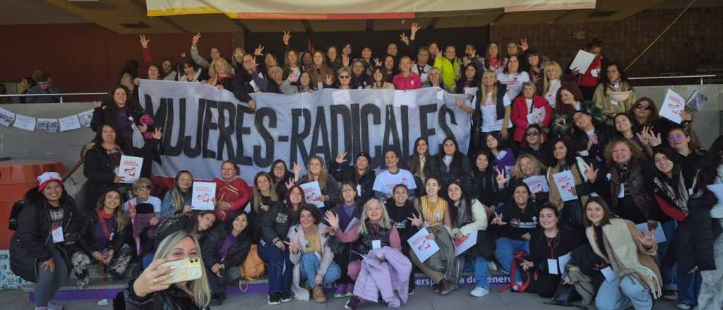 Radicales mendocinas criticaron al partido y apoyan una alianza con Milei