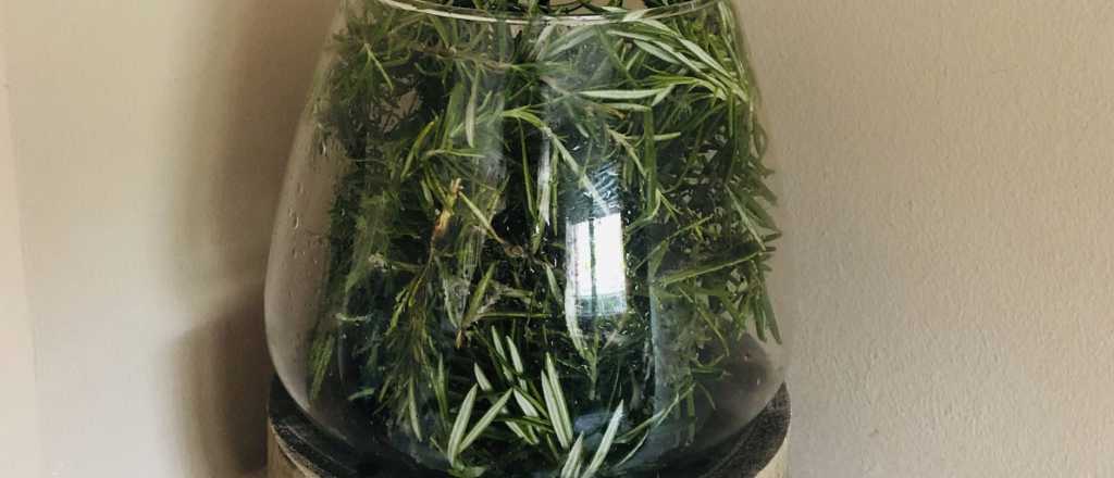 Por qué tenés que quemar una rama de romero en tu casa