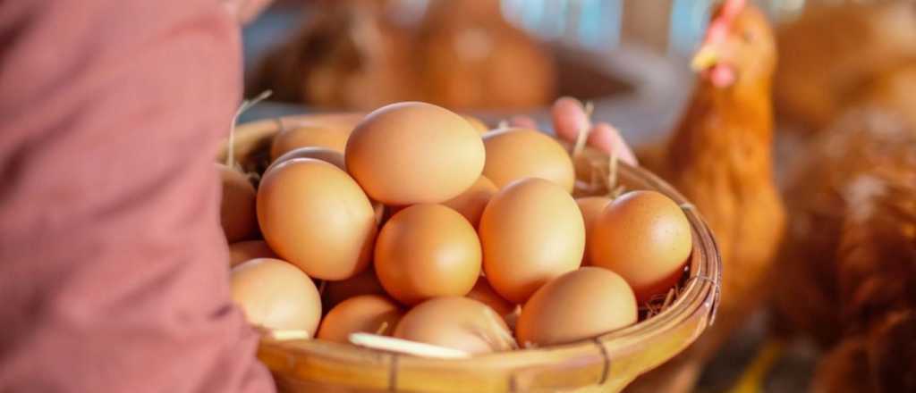 Se dispar&oacute; el precio del huevo en Chile