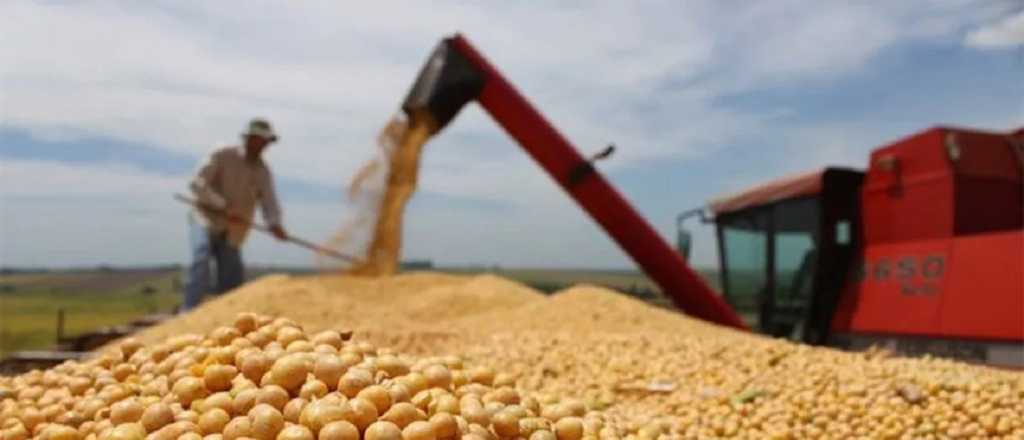 Crece la furia del campo por la suba de retenciones: "Rentabilidad nula"