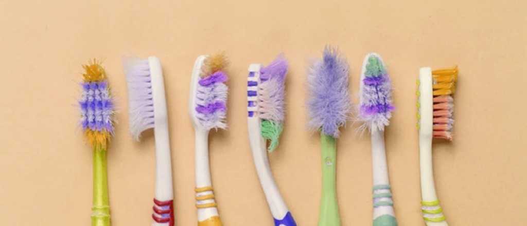 Si tenés un cepillo de dientes viejo en tu casa, tenés un tesoro