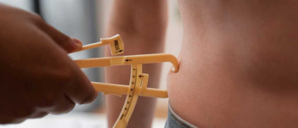 Lo que creías saber sobre la grasa corporal... y lo que dice la ciencia