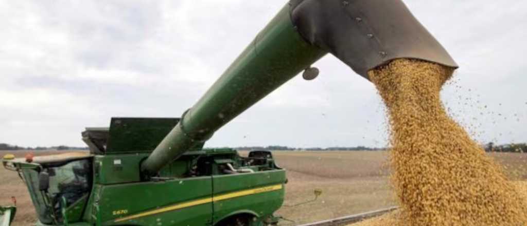 Oficial: vuelven a subir las retenciones al maíz y la soja