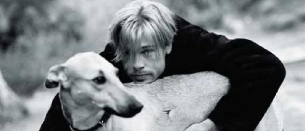 La historia de los perros que rescató Brad Pitt en Mendoza