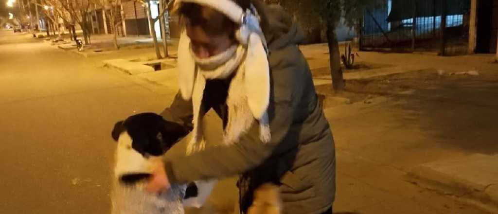 Solidaridad: joven de San Rafael confecciona ropa para perros callejeros