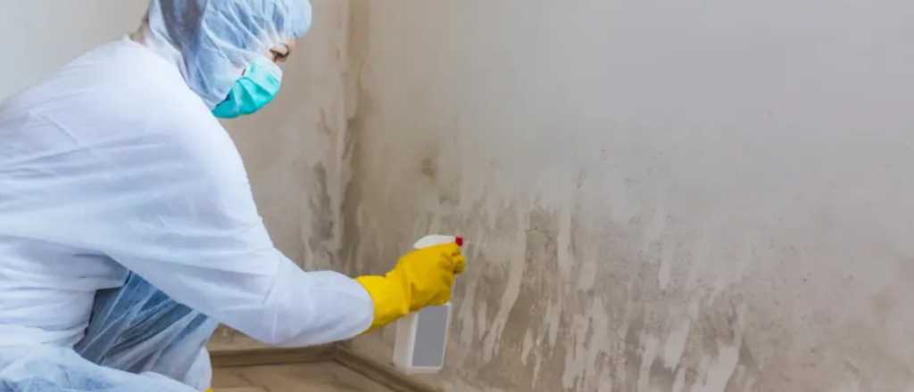 Adiós al moho y humedad: el truco alemán que deja tus paredes como nuevas