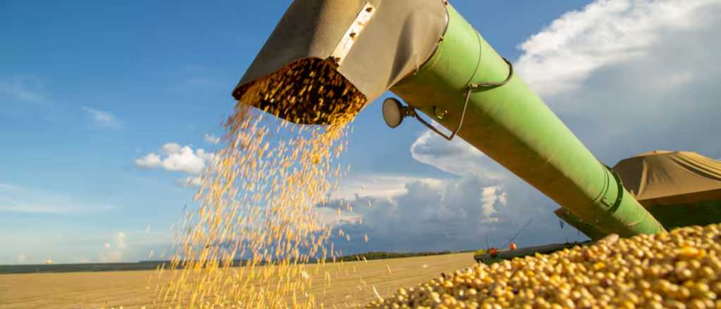 El Gobierno oficializó la baja de las retenciones al campo