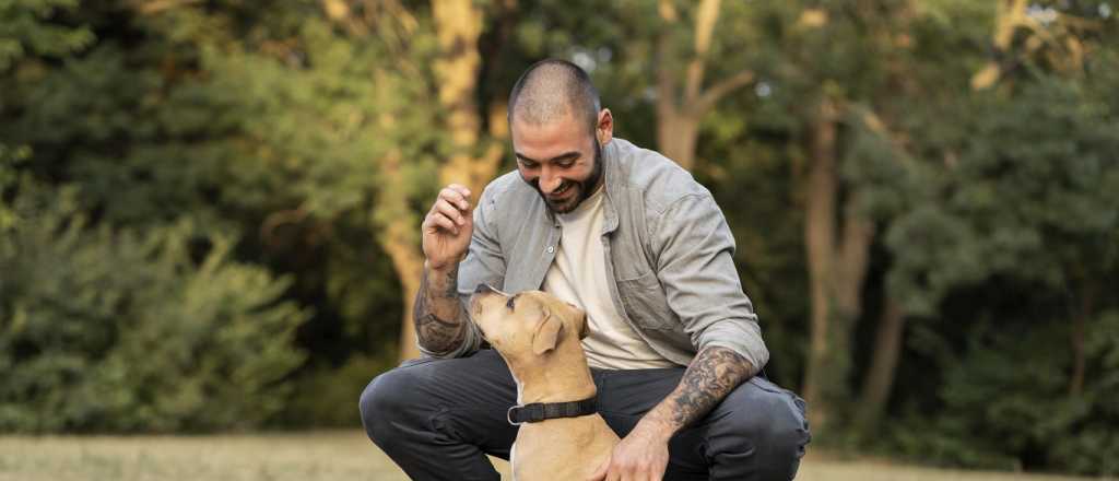 C&oacute;mo saber si sos la persona favorita de tu perro