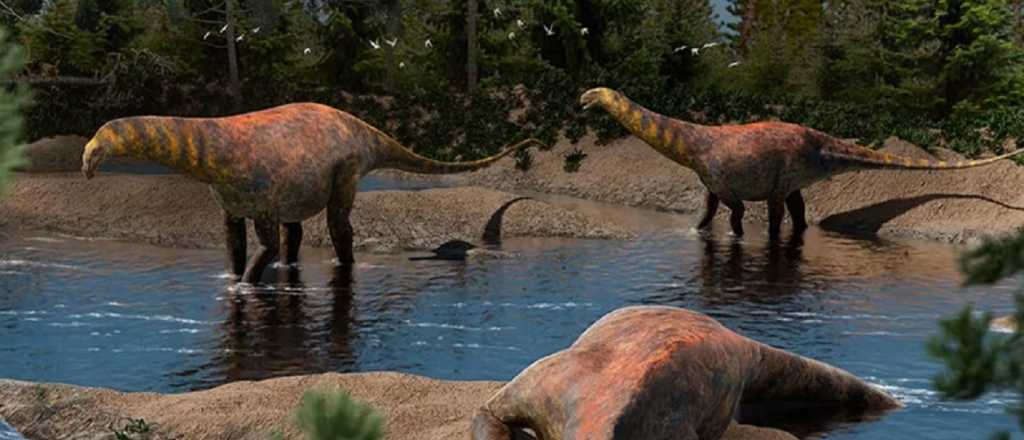 Descubrieron una nueva especie de dinosaurio en Neuquén