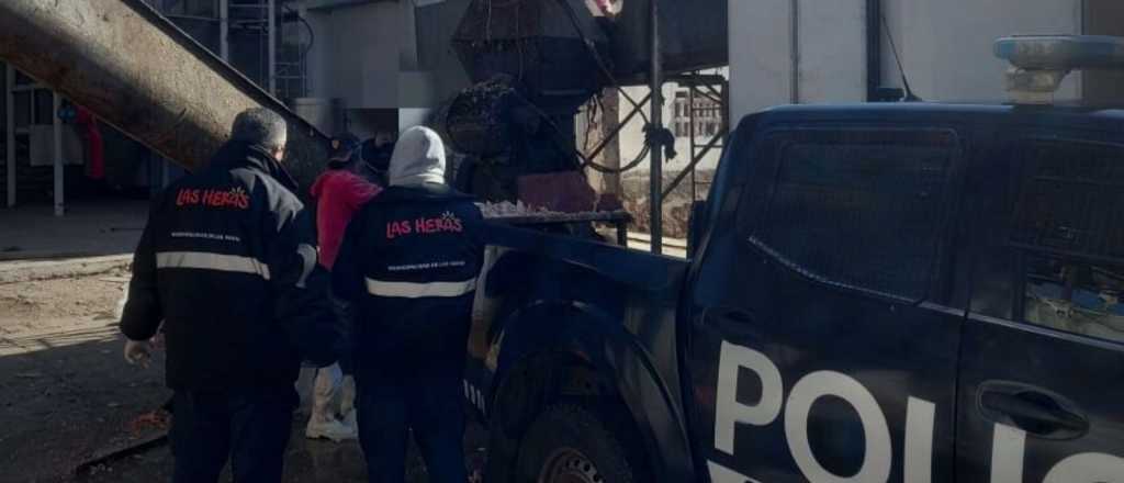 Una carnicería de Las Heras tenía 100 kilos de carne en mal estado