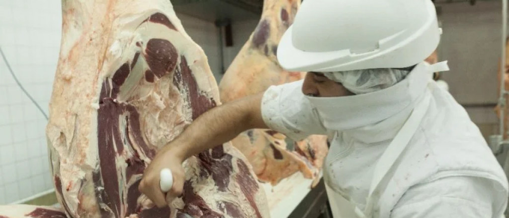 Carne argentina en tensión: exportaciones, escasez y precios