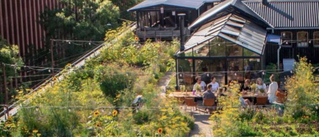 Techos verdes en Mendoza: convertirán terrazas en jardines sustentables