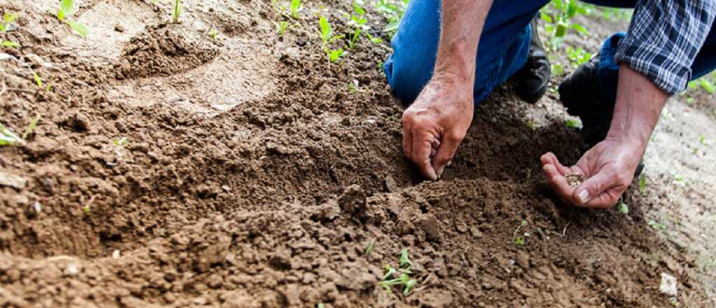 Fabrican fertilizantes org&aacute;nicos con minerales y alta tecnolog&iacute;a en Mendoza