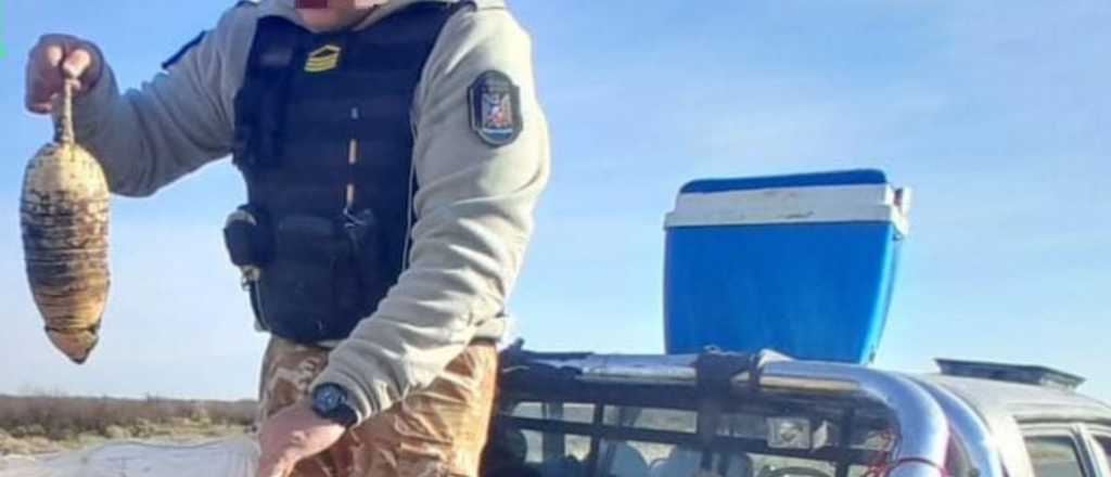 Detuvieron a cuatro cazadores con especies de la fauna silvestre