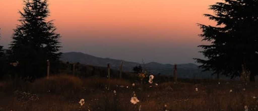 Horóscopo de hoy: que esperan los signos para este domingo 13 de julio