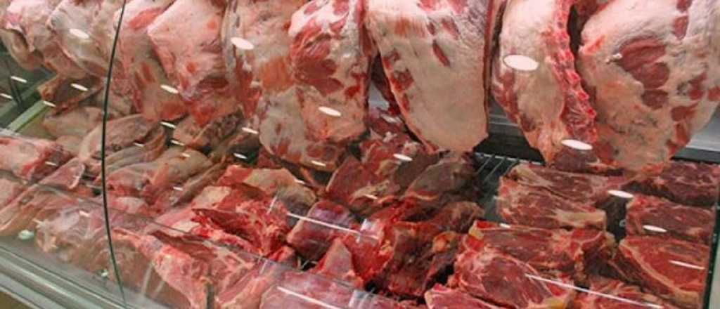 Decomisaron 160 kilos de carne en mal estado en Las Heras