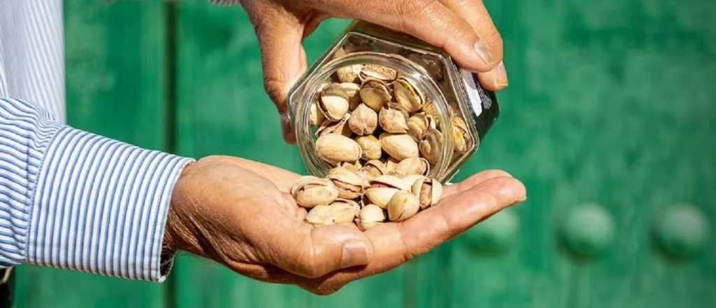 De Dubái a Mendoza: cómo se explica el furor por el pistacho