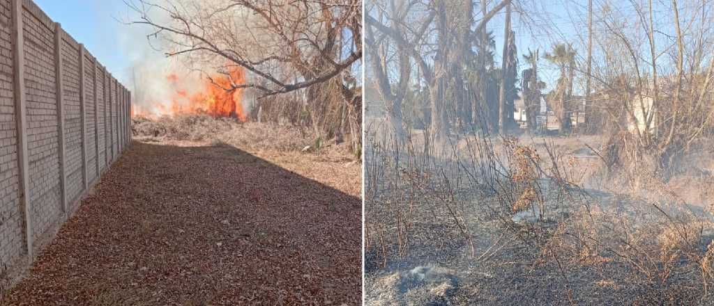 Video: denuncian incendios provocados por vecinos en El Pedregal