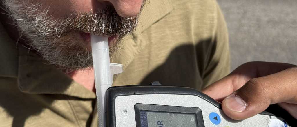 Seis aprehendidos por manejar alcoholizados en el Día del Amigo