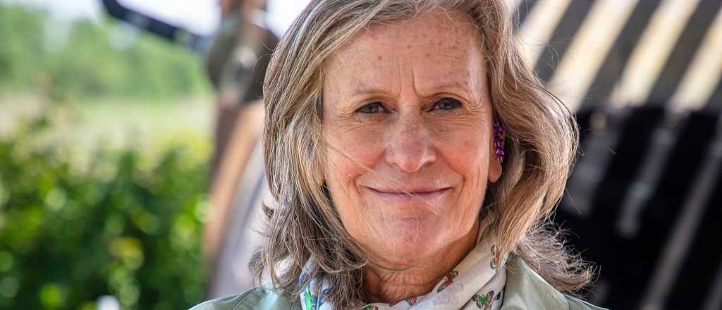 El "oro verde" tambi&eacute;n se cultiva en Mendoza y tiene alto valor de mercado