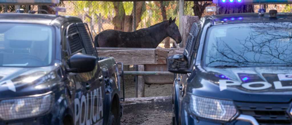 Robaron una camioneta a punta de pistola en Maip&uacute;