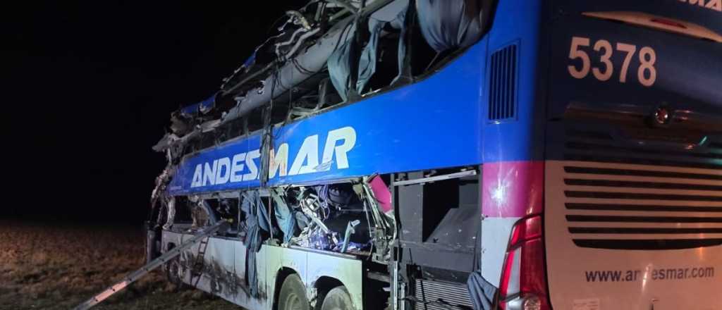 Qué causó la tragedia del micro de Andesmar en Santa Cruz