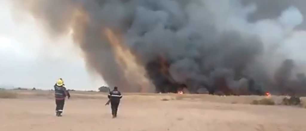 Videos: fuerte incendio en un campo inculto de Las Heras