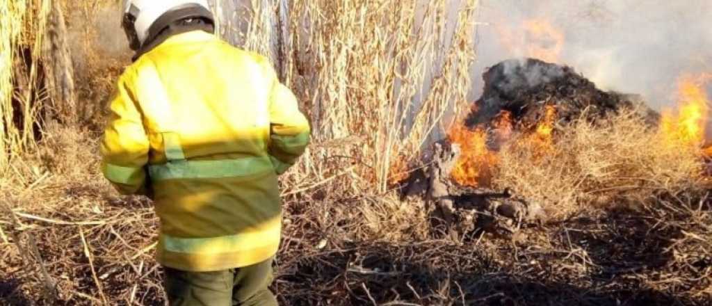 Prendieron fuego en un área prohibida e iniciaron un incendio en Valle Grande
