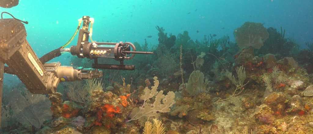 Furor por la expedición al fondo del mar del CONICET
